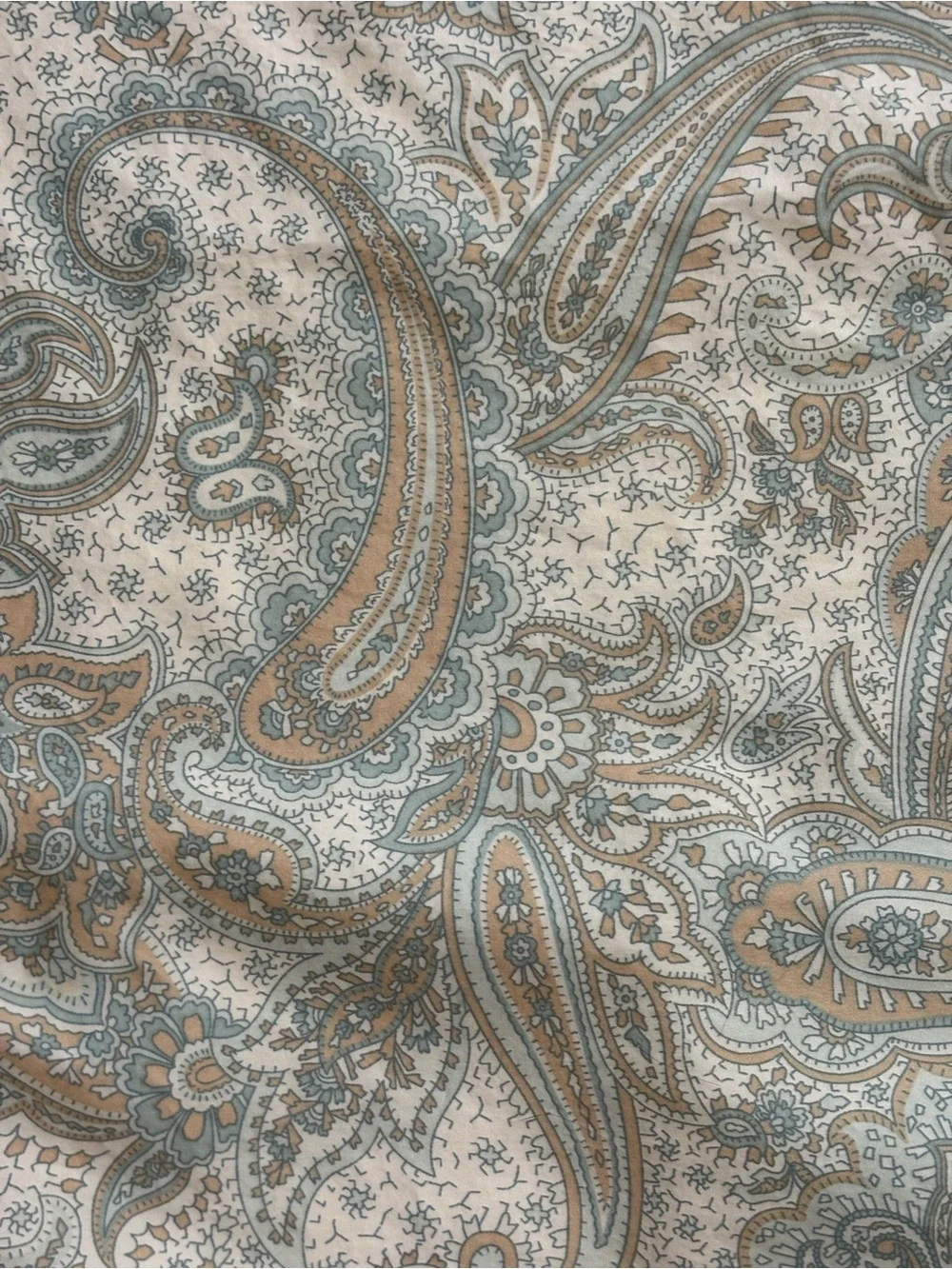 2 Harbor House Chelsea Paisley Pillow Shams Standard Teal Blue Tan Swirl Floral